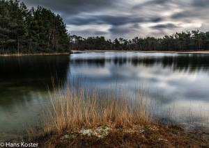 Foto locatie de maashorst